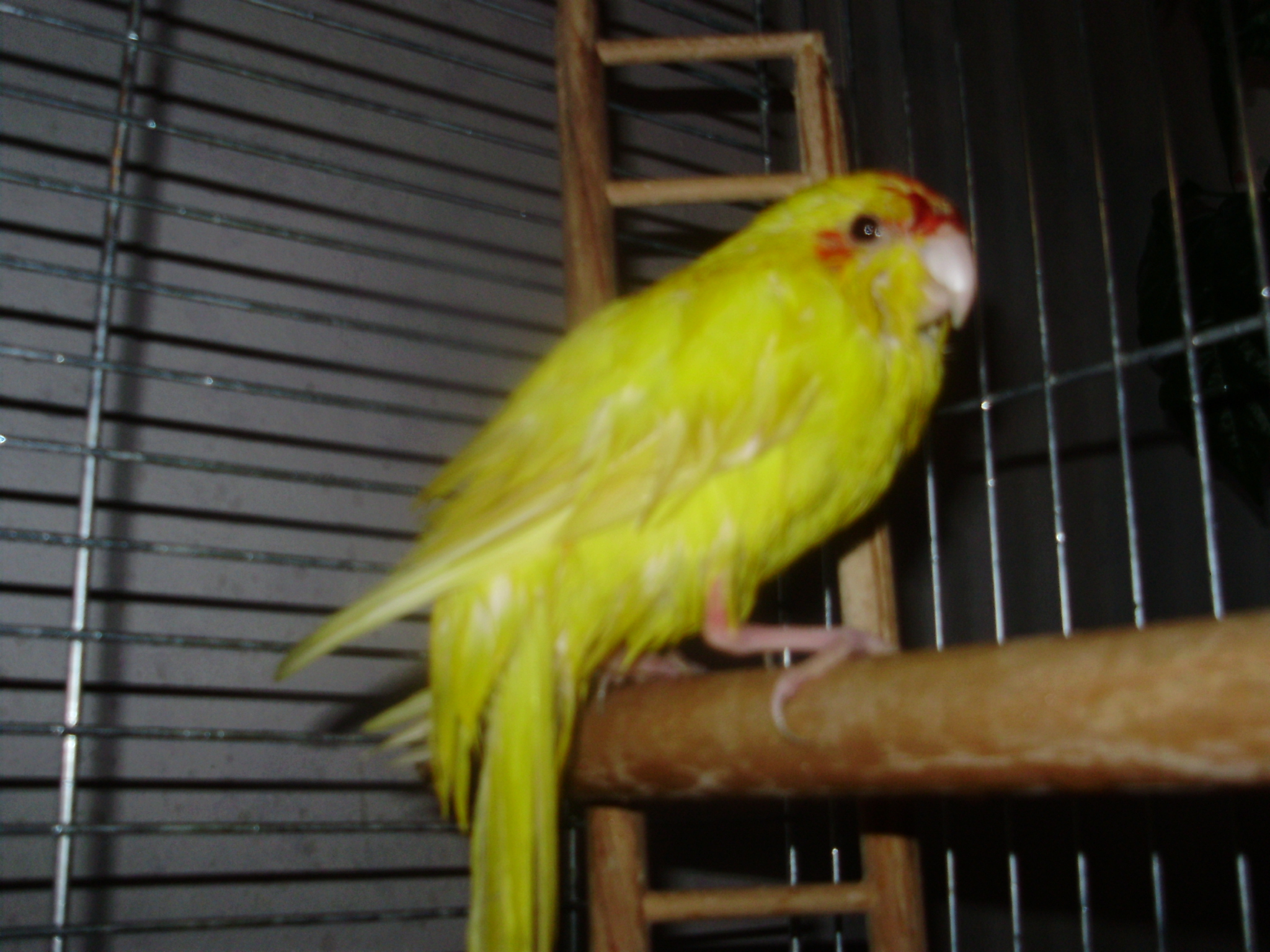 PC100211.JPG