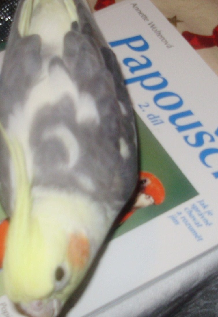 PC290305.JPG