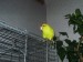 PC300364.JPG